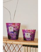 Baobab Collection Arty Flowers Water Lily vonná svíčka 500 g