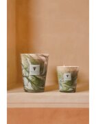 Baobab Collection Leaves Marius vonná svíčka 500 g