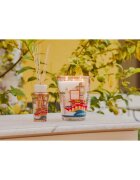 Baobab Collection Monaco vonná svíčka 3000 g
