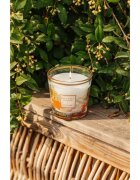 Baobab Collection My First Baobab À Saint-Tropez vonná svíčka 190 g