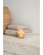 Baobab Collection My First Baobab Miami vonná svíčka 190 g