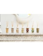 Baobab Collection My First Baobab Roma aroma difuzér s náplní 250 ml