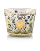 Baobab Collection My First Baobab Tomorrowland vonná svíčka 500 g