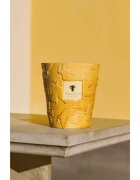 Baobab Collection Paz Dove vonná svíčka 1000 g