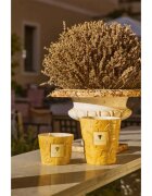 Baobab Collection Paz Dove vonná svíčka 1000 g
