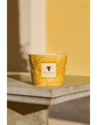 Baobab Collection Paz Dove vonná svíčka 500 g