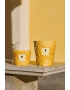 Baobab Collection Paz Dove vonná svíčka 500 g
