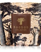 Baobab Collection Sacred Trees Mankono vonná svíčka 500 g