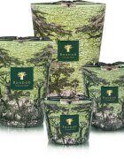 Baobab Collection Sacred Trees Touba vonná svíčka 1100 g