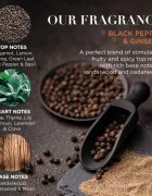 Baylis & Harding Black Pepper & Ginseng dárková sada plechový box pro muže