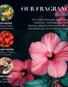Baylis & Harding Boudoire Tropical Paradise dárková sada plechový box
