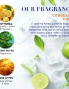 Baylis & Harding Men's Citrus Lime & Mint dárková sada pro muže