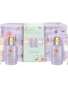 Baylis & Harding Royale Garden Lavender & Rose Hip Tea dárková sada na tělo a vlasy