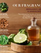 Baylis & Harding The Fuzzy Duck Bergamot Hemp & Sandalwood dárková sada pro muže