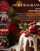 Baylis & Harding The Fuzzy Duck Winter Wonderland vonná svíčka ve skle Cranberry 390 g