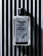 Bentley Momentum Unbreakable parfémovaná voda pro muže 100 ml