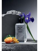 Bentley Momentum Unbreakable parfémovaná voda pro muže 100 ml