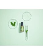 Benton Deep Green Tea zklidňující sérum se zeleným čajem 35 ml