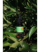 Beviro Bear Oil Summer Line olej na vousy Summer Line 30 ml