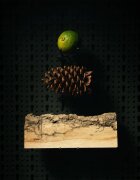 Beviro Bergamia Wood olej na vousy s vůní dřeva 30 ml