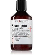 Bioélixire For Damaged Hair posilující šampon pro poškozené vlasy 300 ml