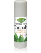 Bione Cosmetics Cannabis pomáda na rty 11 ml
