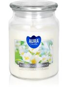 BISPOL Premium Line Jasmine vonná svíčka 500 g