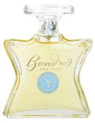 Bond No. 9 Uptown Riverside Drive parfémovaná voda pro muže 100 ml