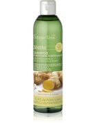 Bottega Verde Zenzero čisticí šampon pro posílení vlasů 250 ml
