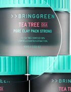 BRINGGREEN Tea Tree Cica Pore Clay Pack Strong krémová maska pro mastnou pleť se sklonem k akné 100 g
