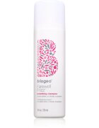 Briogeo Farewell Frizz uhlazující šampon 236 ml