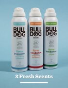 Bulldog Fresh Mint&Cedarwood Spray Deodorant deodorant ve spreji bez obsahu hliníku 125 ml