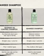 Bumble and bumble Seaweed Oil Control Shampoo šampon pro mastné vlasy 250 ml