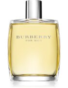 Burberry for Men toaletní voda pro muže 100 ml