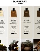 Burberry Hero toaletní voda pro muže 100 ml