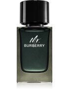 Burberry Mr. parfémovaná voda pro muže 100 ml
