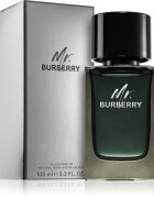 Burberry Mr. parfémovaná voda pro muže 100 ml