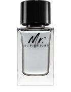 Burberry Mr. toaletní voda pro muže 100 ml