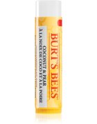 Burt’s Bees Lip Balm Coconut & Pear hydratační balzám na rty 4.25 g