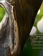 BVLGARI Man Wood Essence parfémovaná voda plnitelná pro muže 150 ml