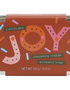 Castelbel Charming Soaps Cinnamon Orange tuhé mýdlo v plechovce 300 g