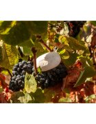 Castelbel Ruby Red tuhé mýdlo 150 g