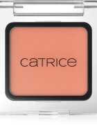 Catrice Art Couleurs oční stíny odstín 480 Apricot Touch 2 g