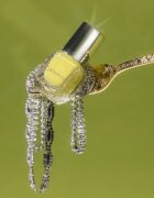Catrice MY JEWELS. MY RULES. lak na nehty odstín C02 Apricot Crush 105 ml