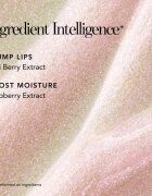 Chantecaille Brilliant Lip Gloss hydratační lesk na rty Enchant 3 ml