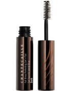 Chantecaille Full Brow Perfecting Gel Brow + Tint fixační gel na obočí Dark Tint 5.5 ml