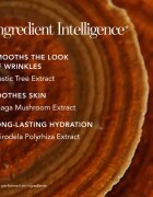 Chantecaille Future Skin Gel Foundation hydratační make-up s rozjasňujícím efektem Aura 30 g