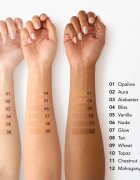Chantecaille Just Skin Tinted Moisturizer tónovací hydratační krém s rozjasňujícím účinkem SPF 15 Bliss 35 g