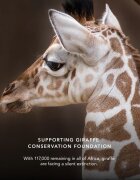 Chantecaille Luminescent Eye Shades perleťové oční stíny Giraffe 2.5 g