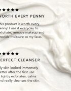 Chantecaille Rice and Geranium Foaming Cleanser jemná čisticí emulze s hydratačním účinkem 70 g